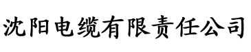 污污的黄色网站电缆厂logo